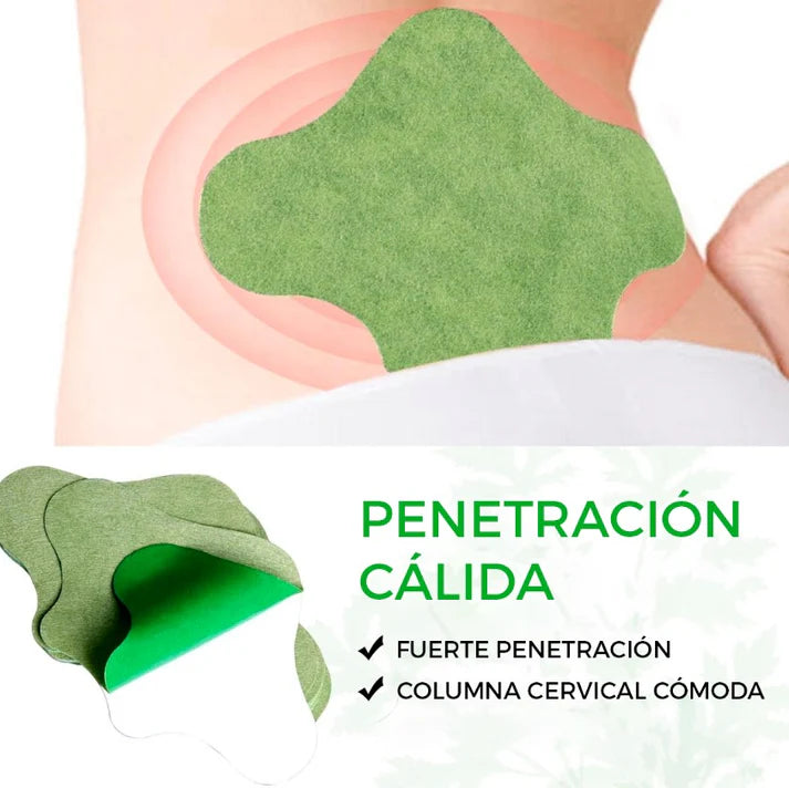 Parches Hyllis™ Formula Natural - Alivia dolor e inflamación, para cuello, espalda y articulaciones PROMOCIONES 10,30,50,100 Parches